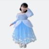 Cinderella Princess Costume